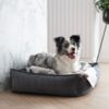 strippo labbvenn panier lit design pour chien en velours cotele