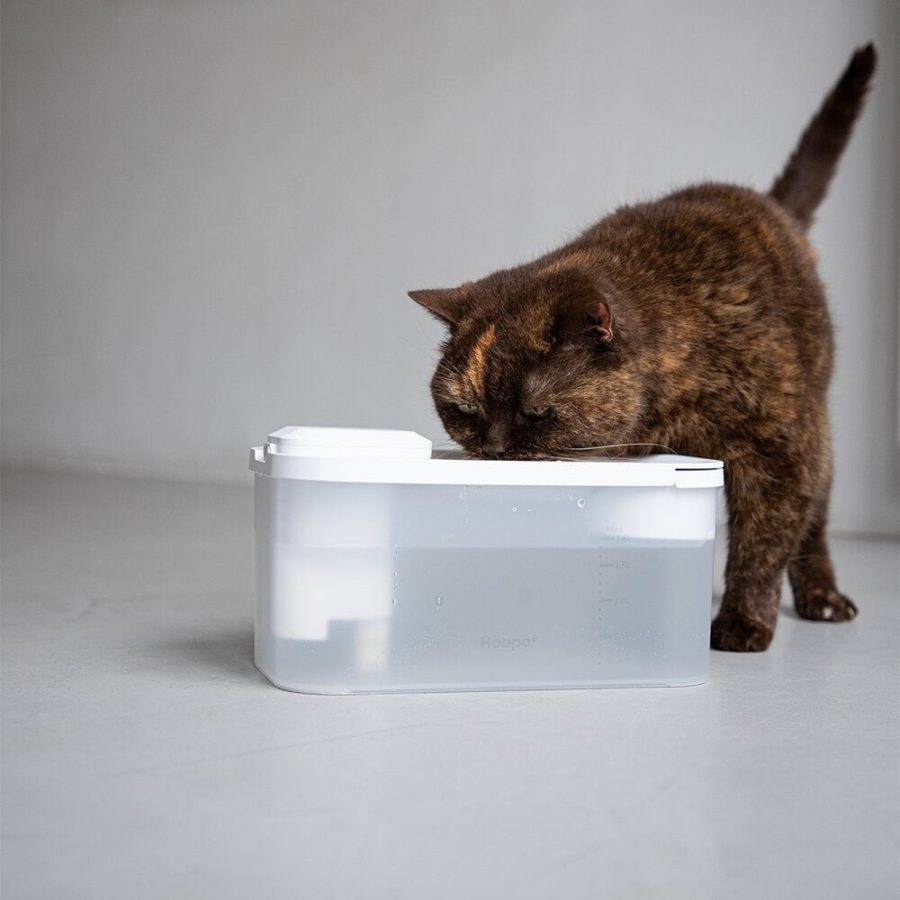 Fontaine eau pour chat HYDRO SMART
