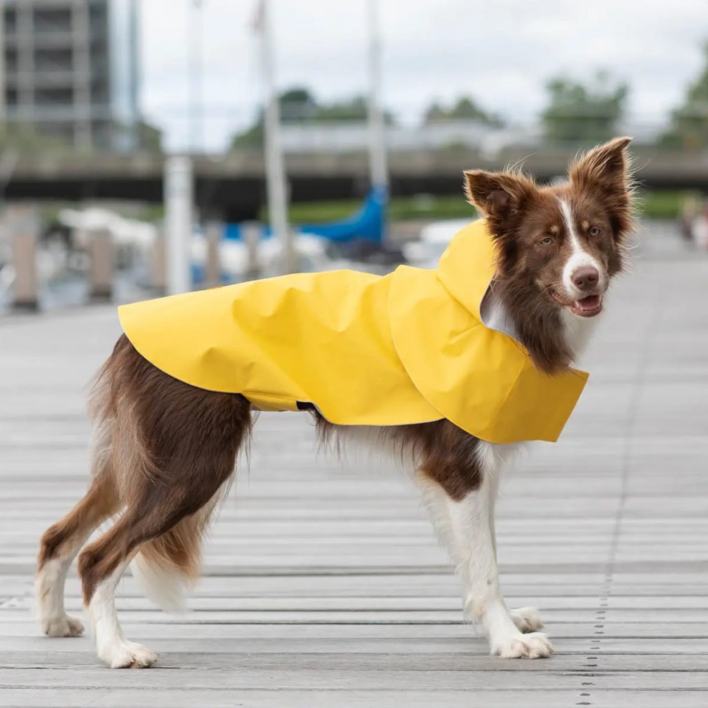 MANTEAU DE PLUIE POUR CHIEN STORM