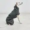 VALENTINA MANTEAU HIVER MIACARA CHIEN