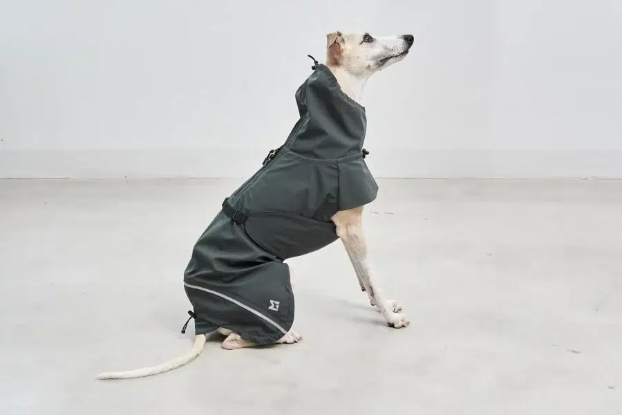 VALENTINA MANTEAU HIVER MIACARA CHIEN