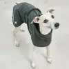 VALENTINA MANTEAU HIVER MIACARA CHIEN