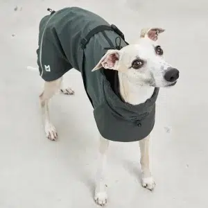 Manteau de pluie pour chien design – VALENTINA