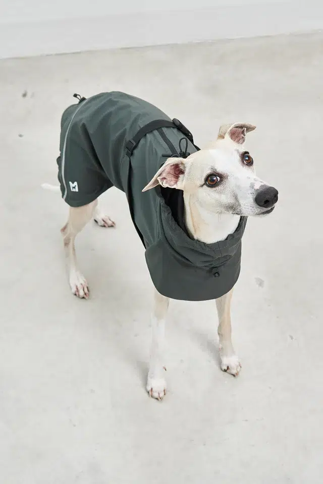 VALENTINA MANTEAU HIVER MIACARA CHIEN