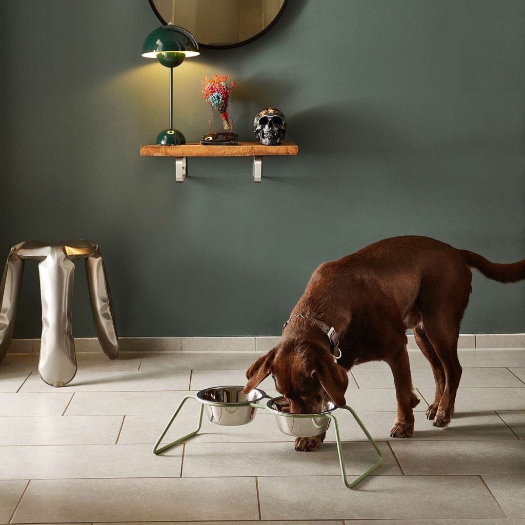 cena gamelle design chien miacara