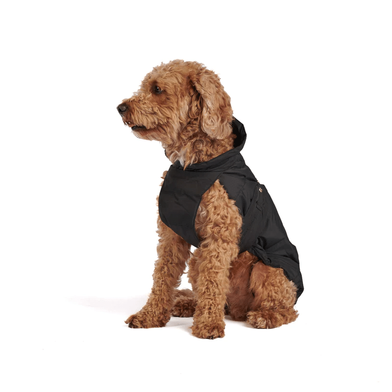 manteau imperméable et matelassé william walker design chien
