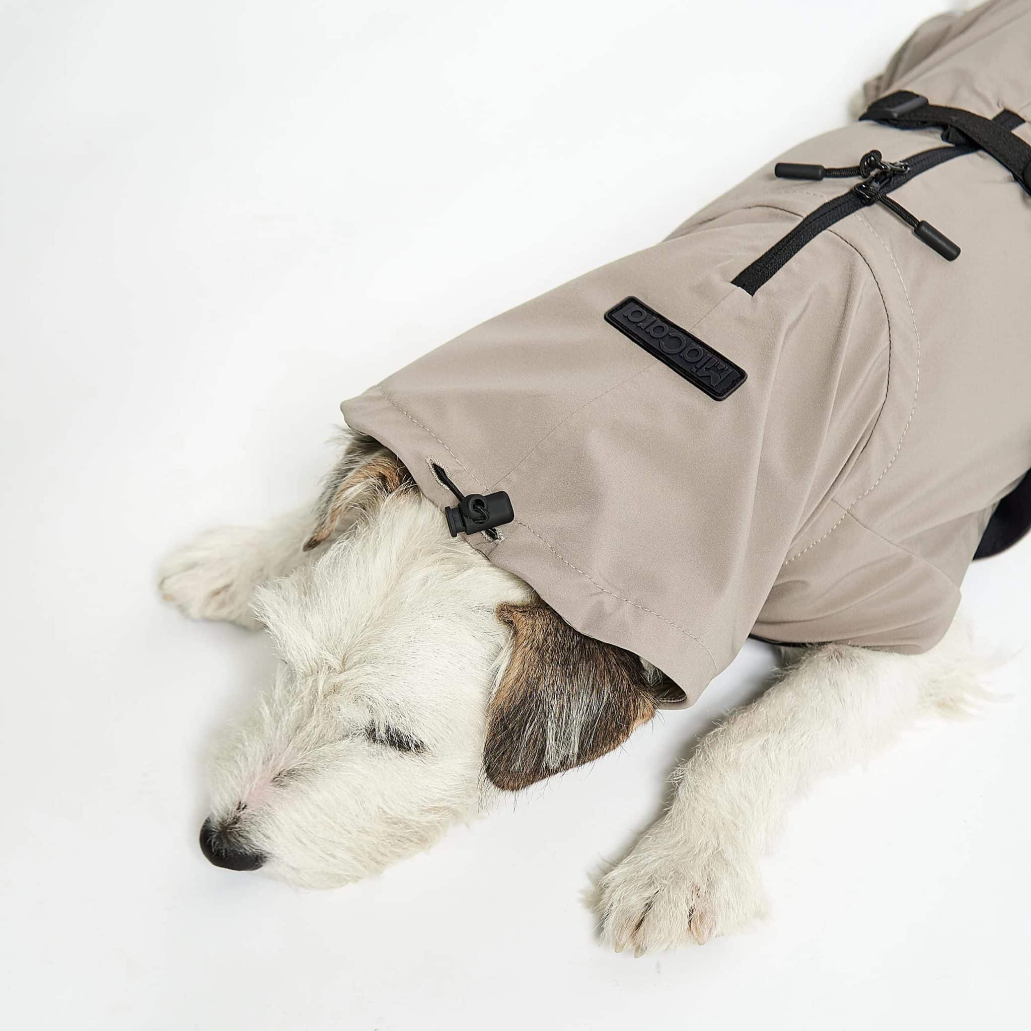 Valentina manteau design imperméable pour chien miacara (2) Valentina-manteau-design-impermeable-pour-chien-miacara
