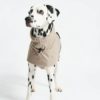 Valentina-manteau-design-impermeable-pour-chien-miacara