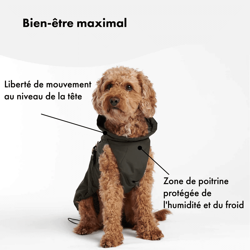 Manteau imperméable design pour chien