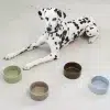 GAMELLE MINIMALISTE BOL CERAMIQUE COULEUR CHIEN DESIGN MIACARA SCODELLA