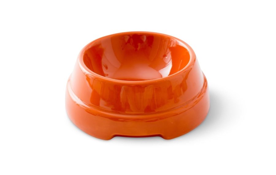 sebastiao ceramique gamelle pour chien design