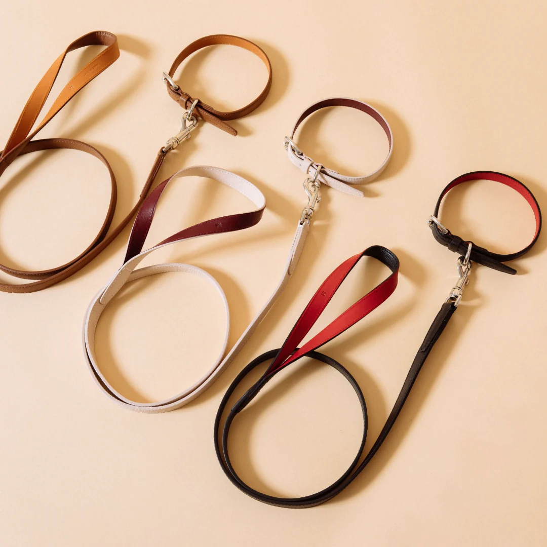 tuscan laisse molly and stitch tuscan laisse molly and stitch