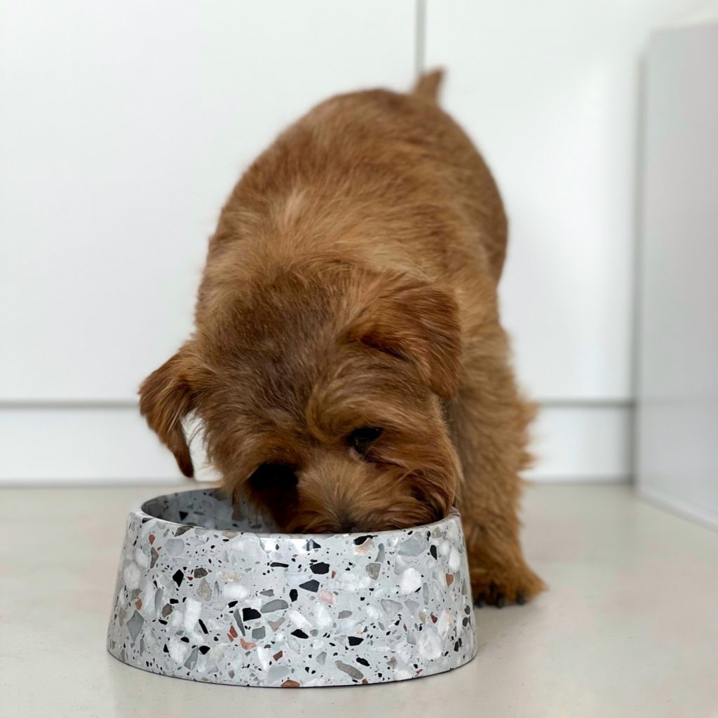 gamelle design en marbre chien chat