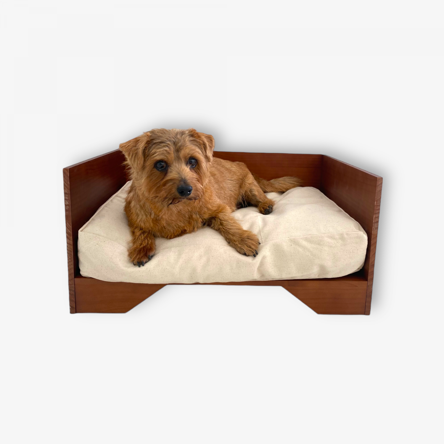 canapé en bois design pour chien et chat STUDIO canapé en bois design pour chien et chat STUDIO