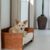 canapé en bois design pour chien et chat STUDIO