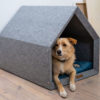 niche d'interieur design ecologique pethome rexproduct chien et chat