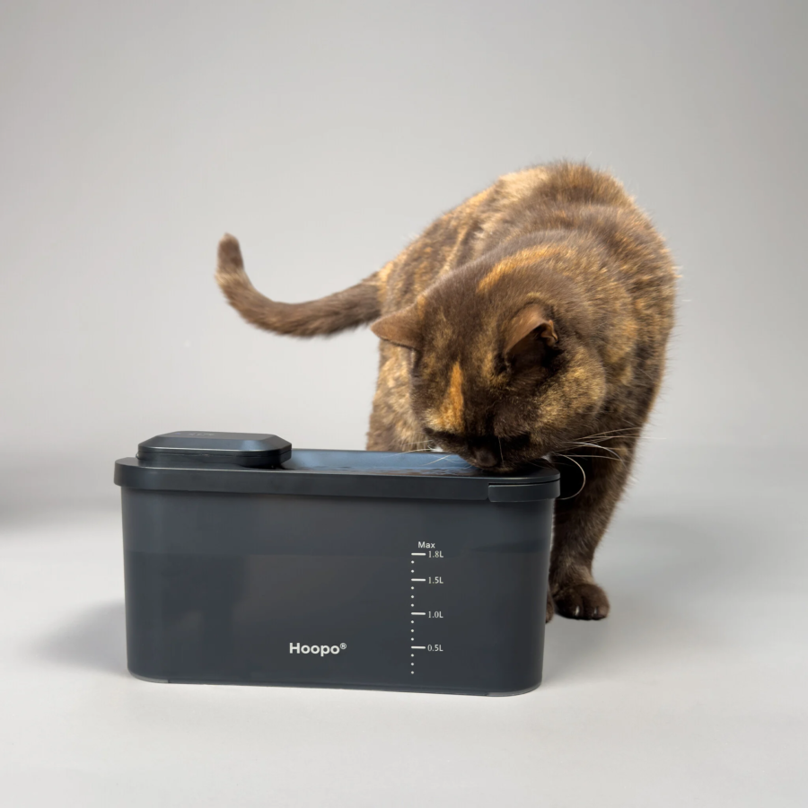 hydro smart noir fontaine design chat hoopo