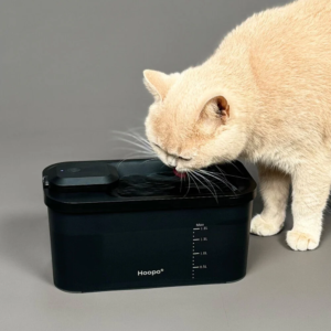 Fontaine à eau design pour chat – HYDR SMART