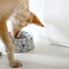 gamelle design en marbre chien chat
