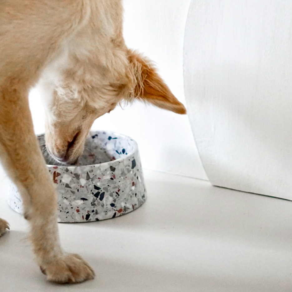 gamelle design en marbre chien chat gamelle design en marbre chien chat