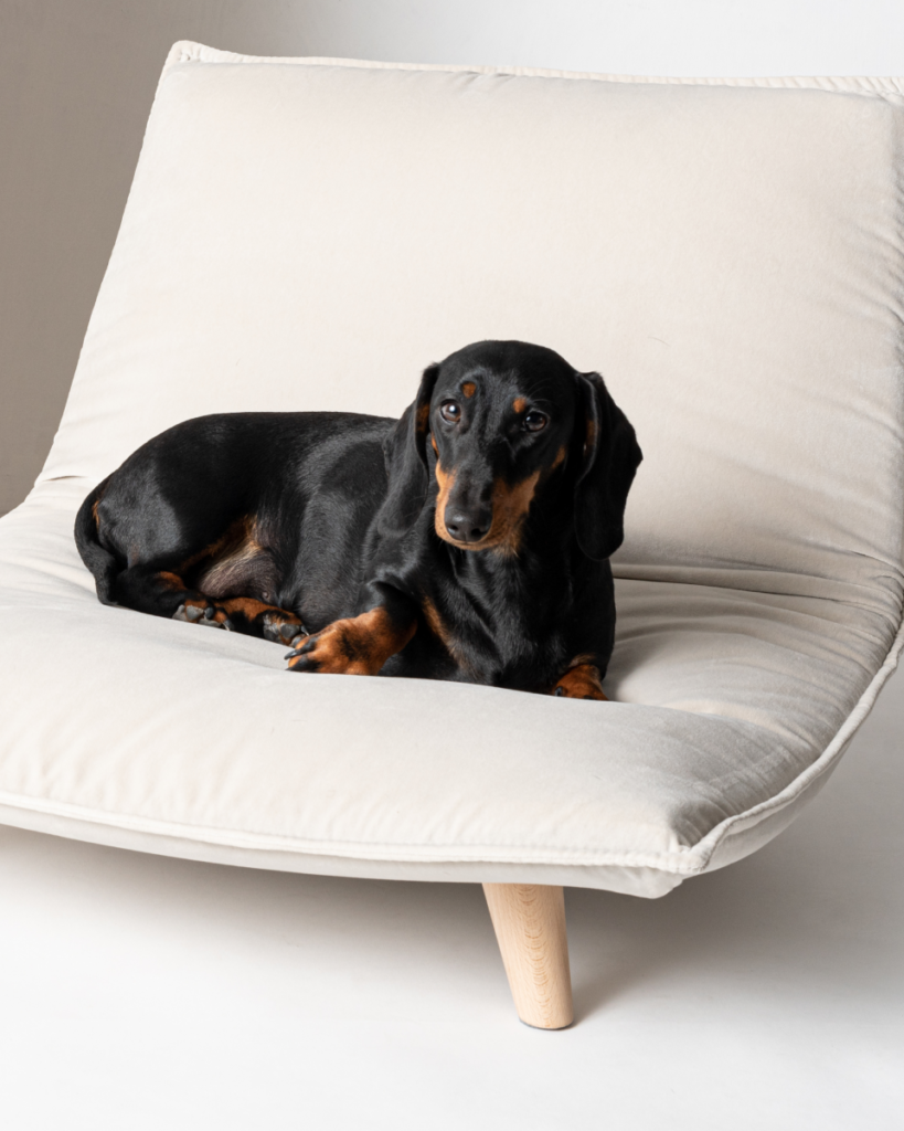 Canapés de luxe pour chiens et chats