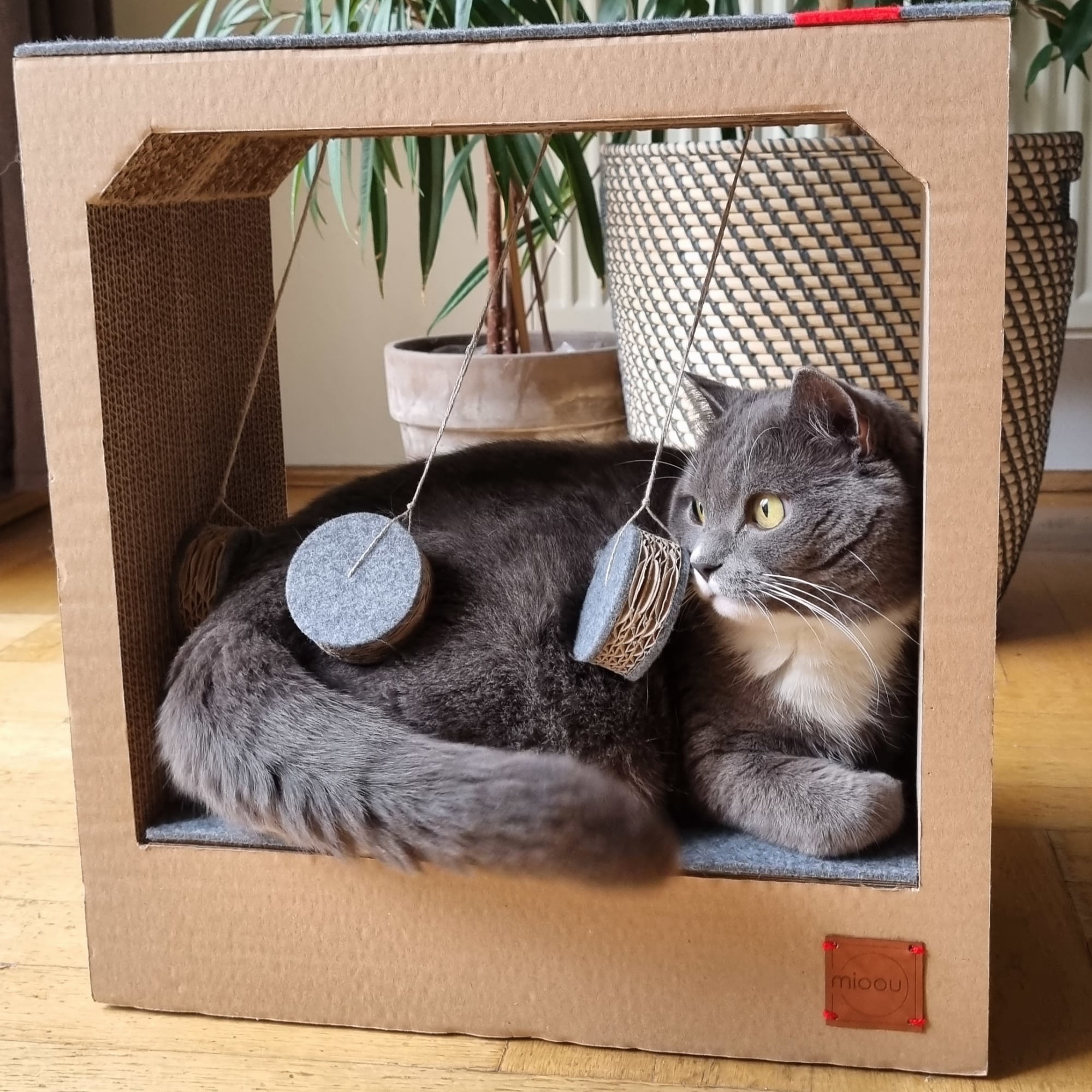 Jouet à griffer design pour chat - BILA