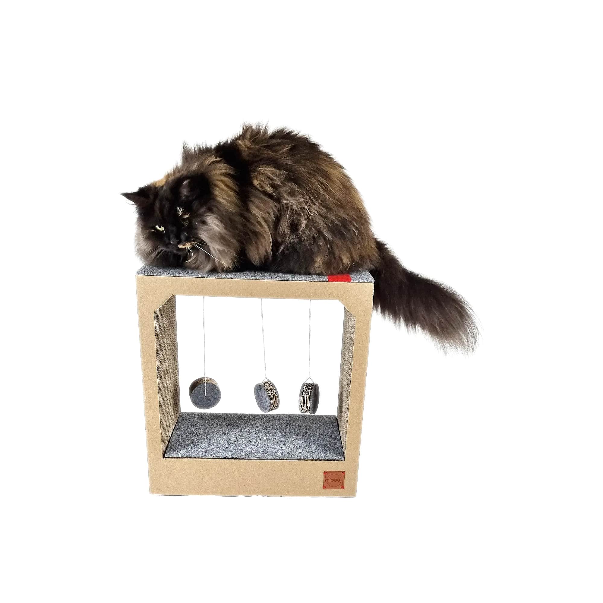 Jouet à griffer design pour chat - BILA