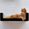Etagère griffoir design pour chat - SUMA