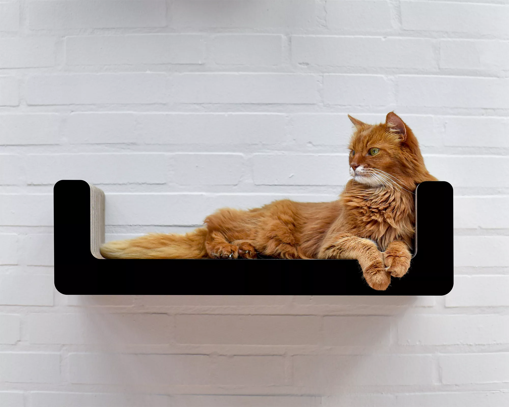 Etagère griffoir design pour chat - SUMA