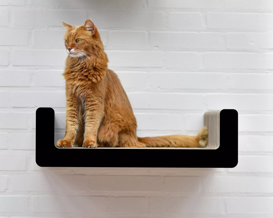 Etagère griffoir design pour chat - SUMA