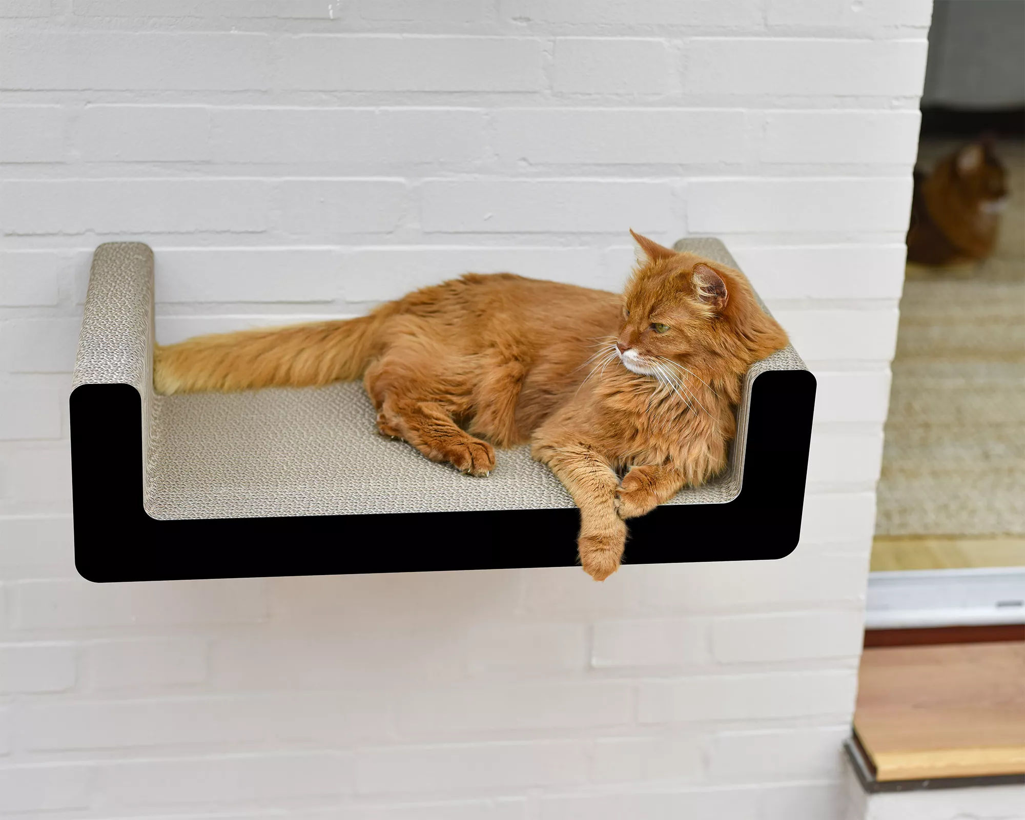 Etagère griffoir design pour chat - SUMA