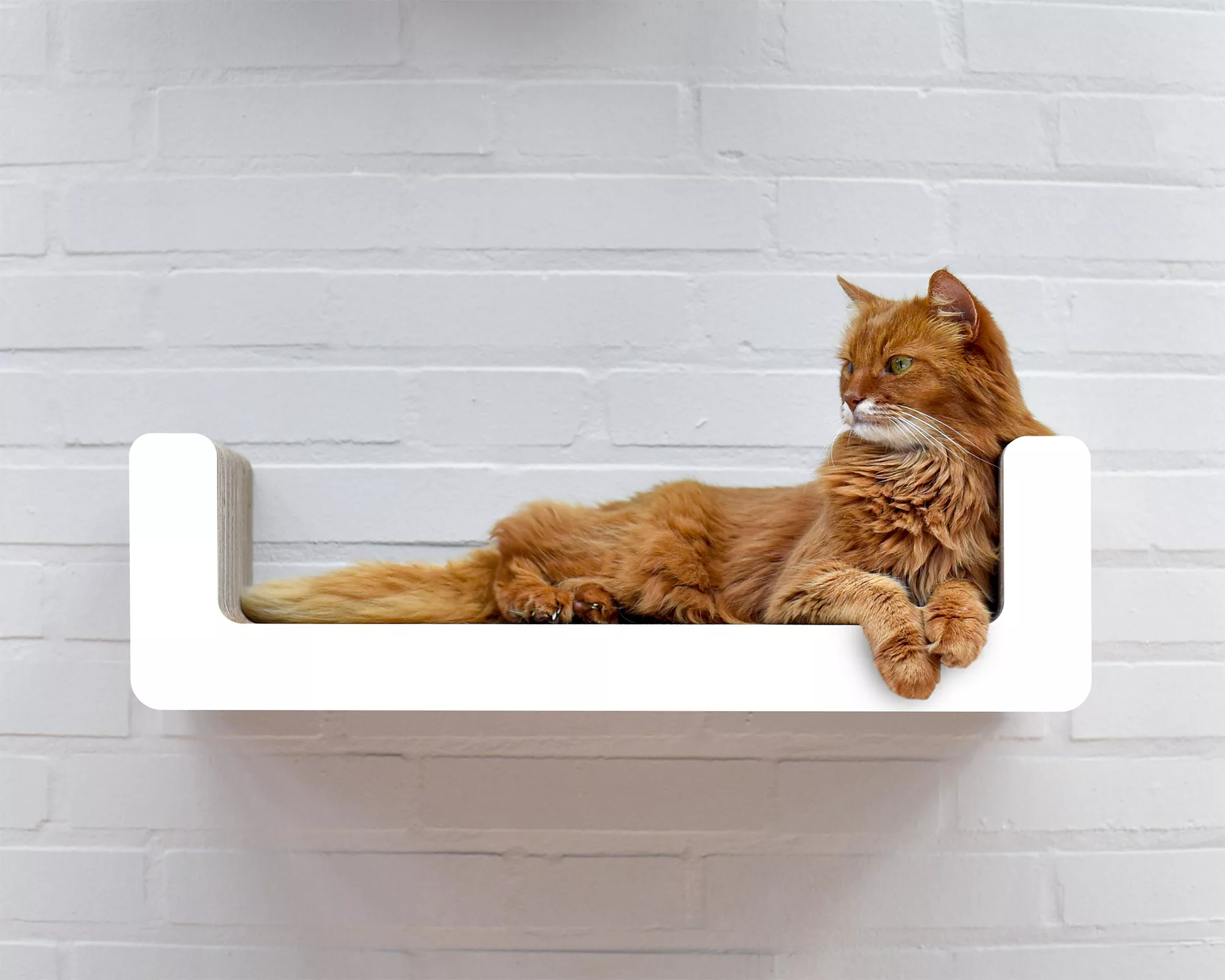 Etagère griffoir design pour chat - SUMA