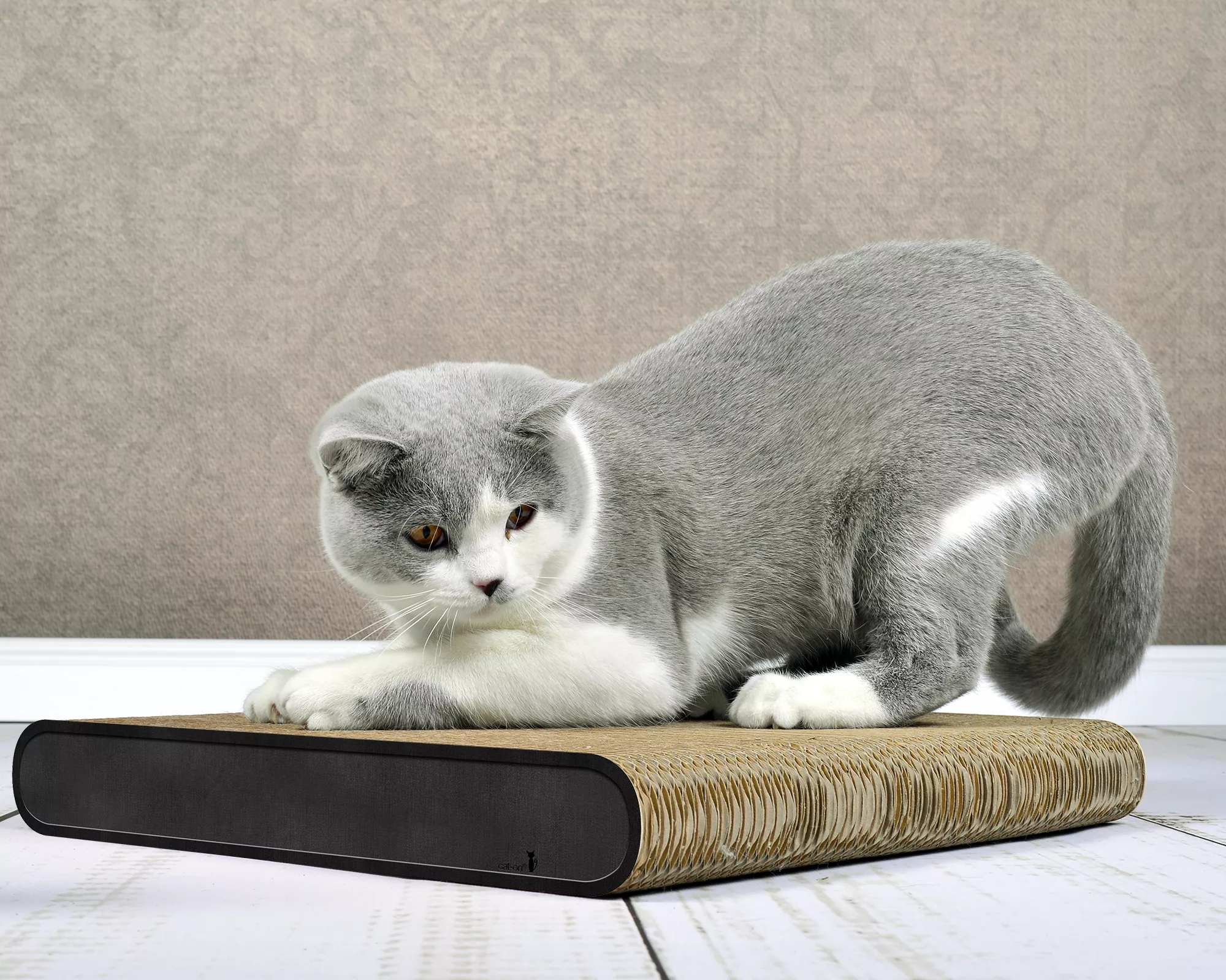 GRIFFOIR DESIGN CHAT LA PLANCHE (1) GRIFFOIR DESIGN CHAT LA PLANCHE