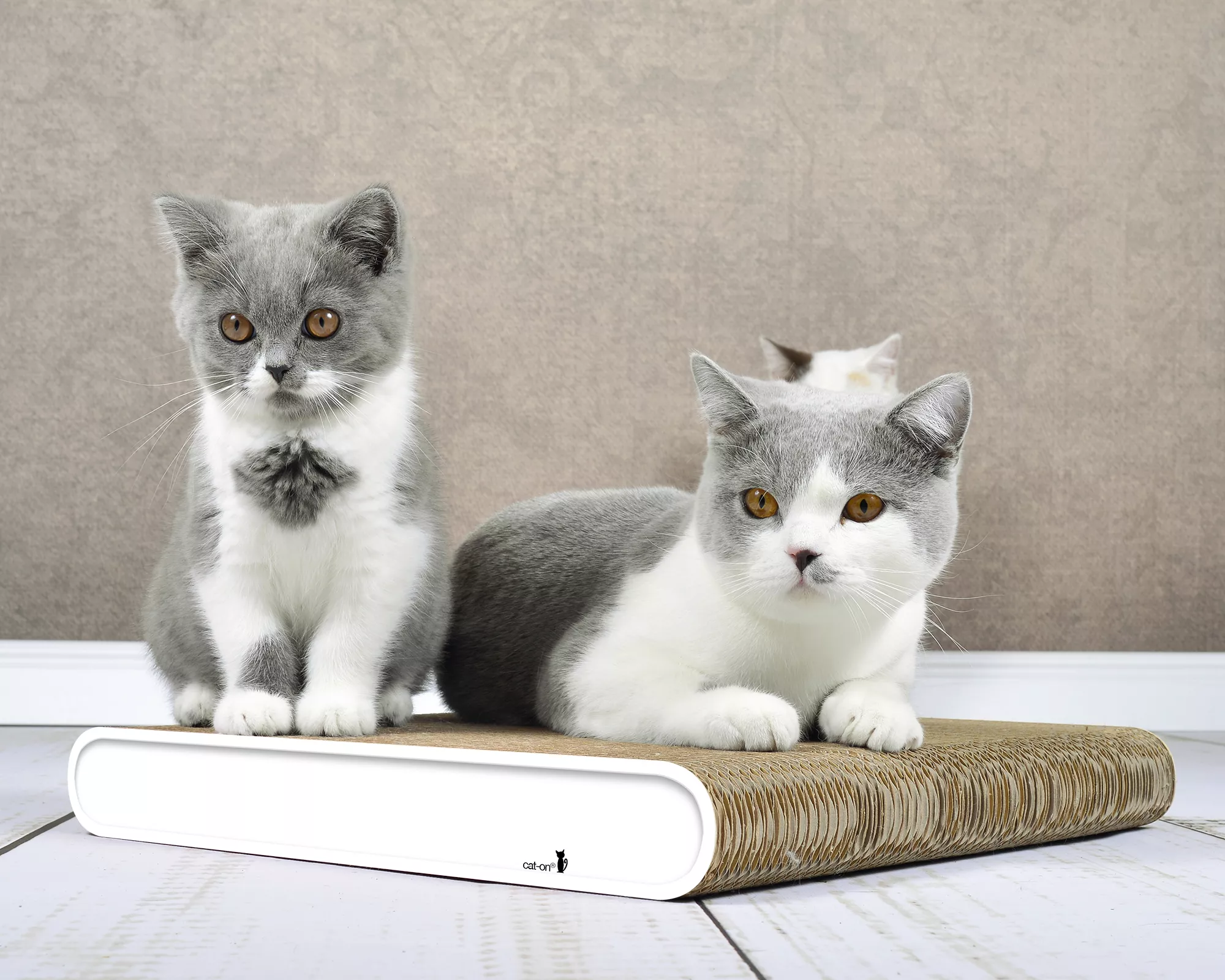 GRIFFOIR DESIGN CHAT LA PLANCHE (4) GRIFFOIR DESIGN CHAT LA PLANCHE