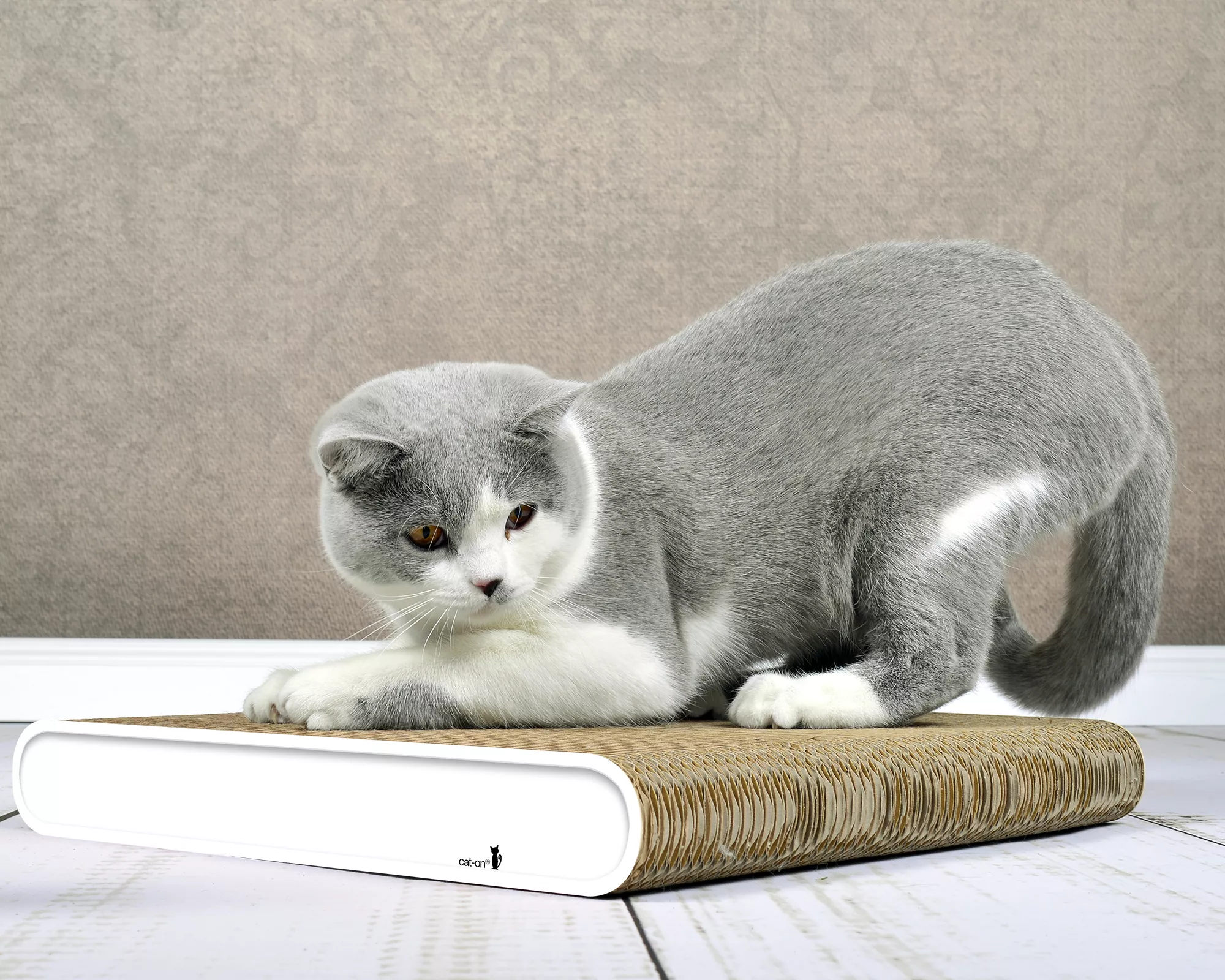 GRIFFOIR DESIGN CHAT LA PLANCHE (6) GRIFFOIR DESIGN CHAT LA PLANCHE