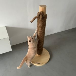 Griffoir design pour chat – TOTEM
