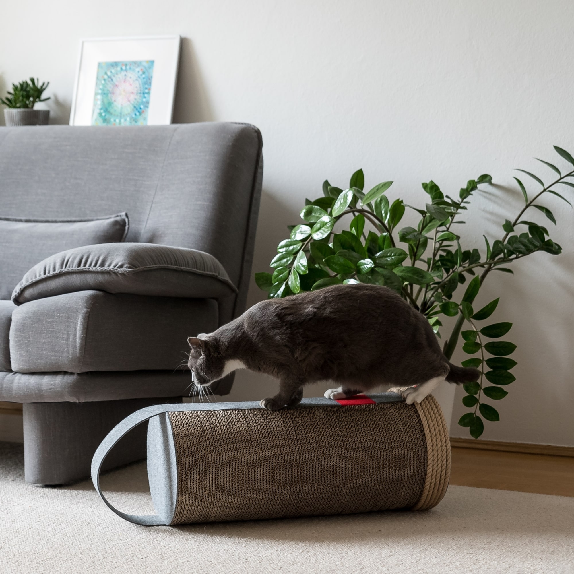 lila griffoir mioou chat design (4) lila griffoir mioou chat design