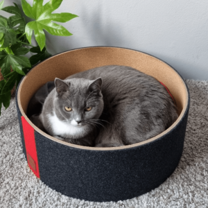Couchage griffoir design pour chat – LOPO