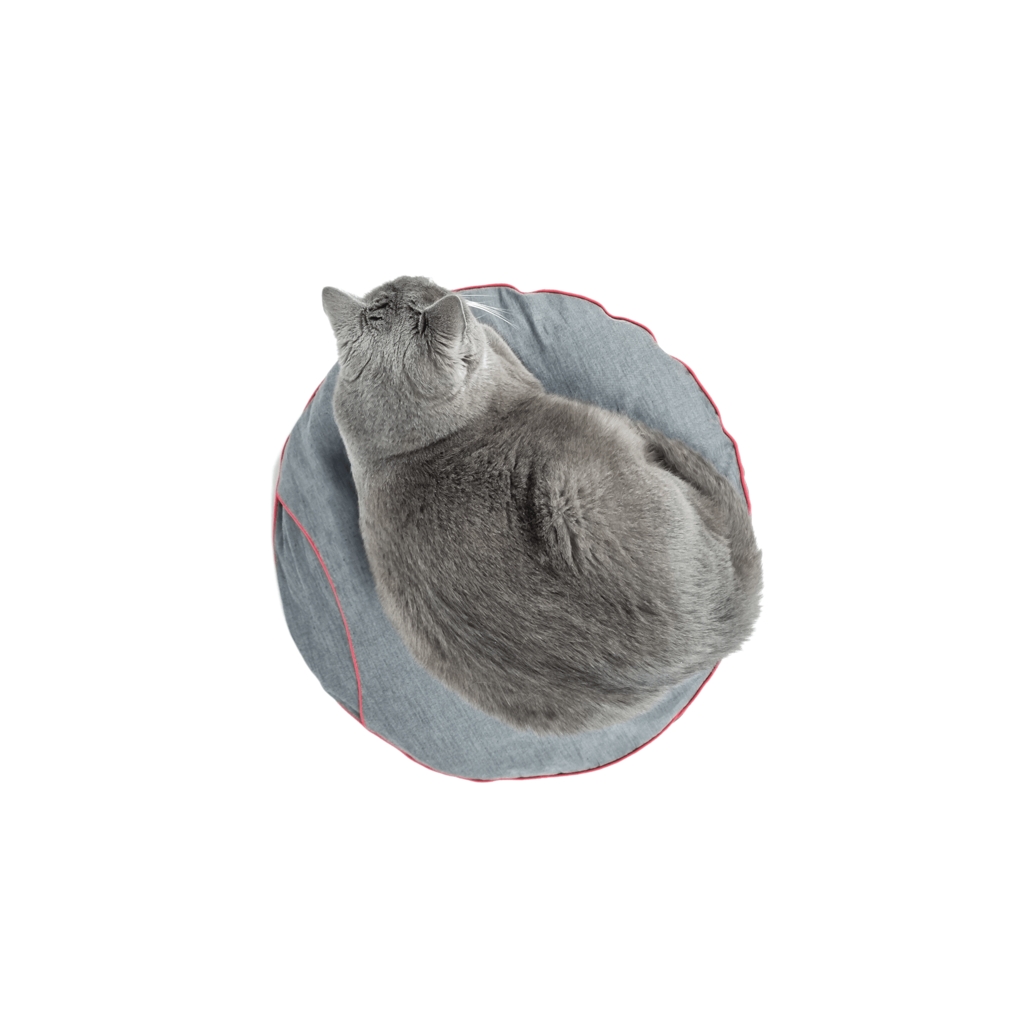 lopo griffoir couchage pour chat design (4) lopo griffoir couchage pour chat design