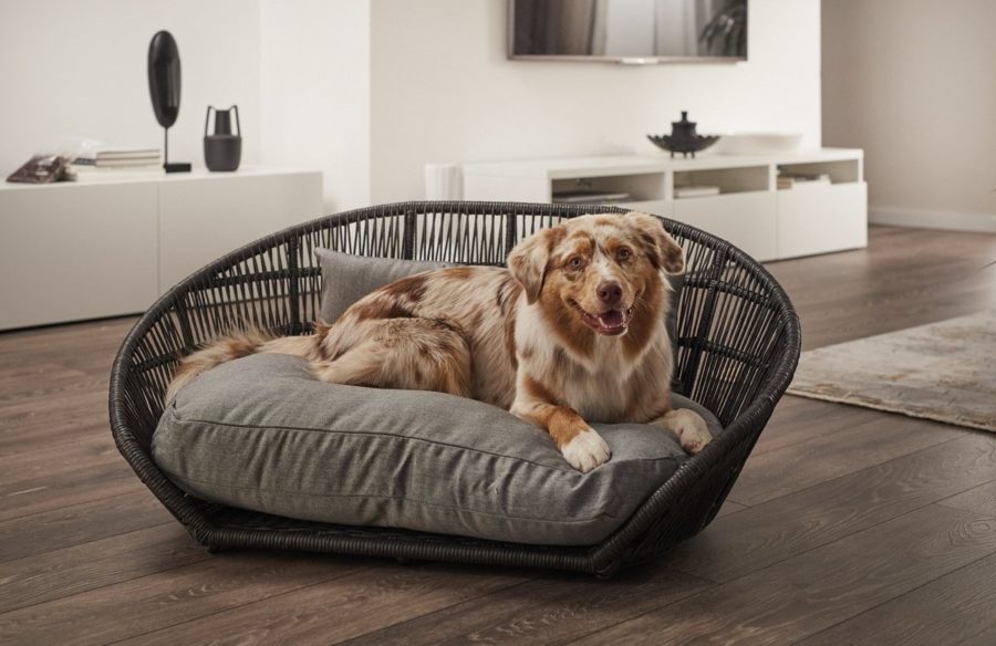 prado lit design pour chien