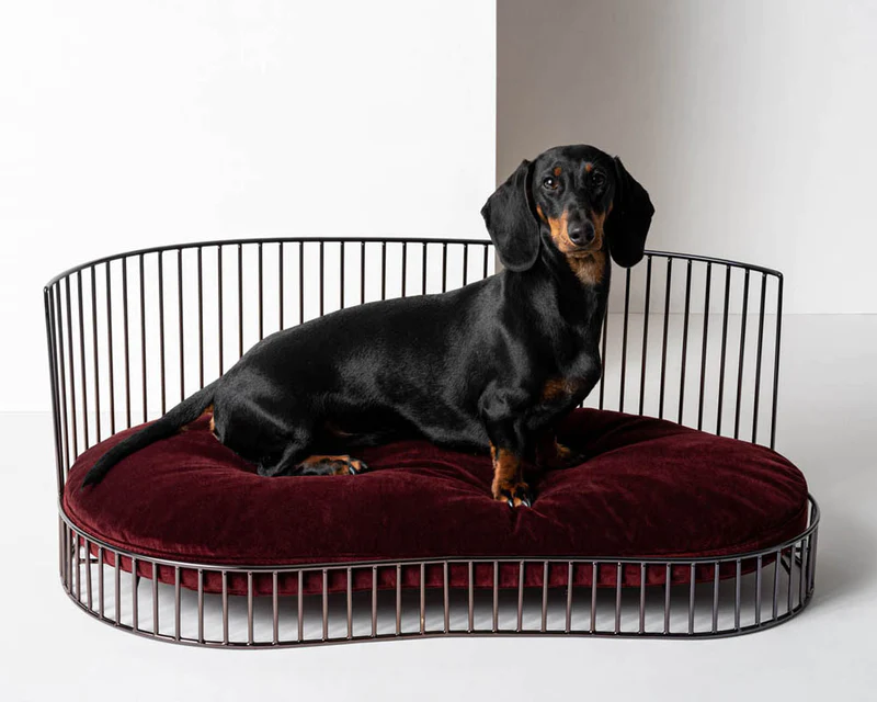 smith couchage de luxe pour chien