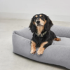 Panier pour chien confort design - COMODO