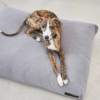 Coussin pour chien confort design - COMODO