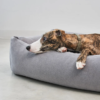 Panier pour chien confort design - COMODO