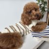 Pull marinière pour chien tricoté à la main - KUSIKO