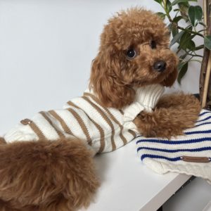 Pull marinière pour chien tricoté à la main – KUSIKO