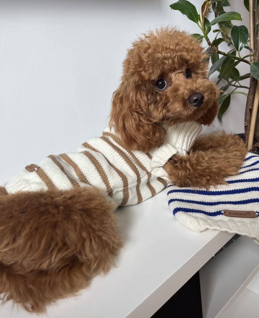 Pull marinière pour chien tricoté à la main - KUSIKO