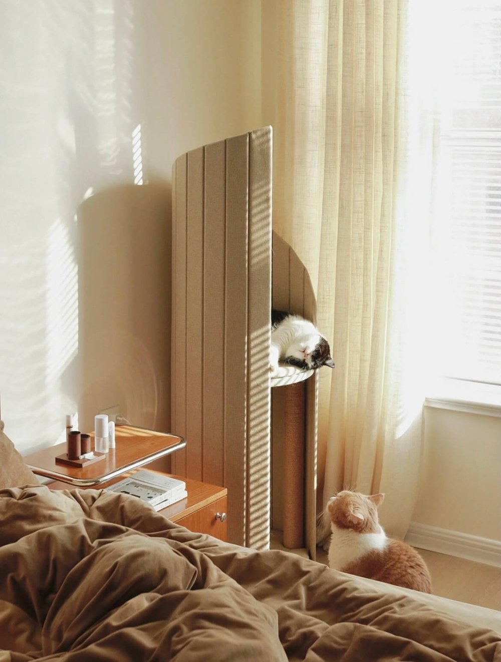 arbre à chat design pewos arbre à chat design pewos