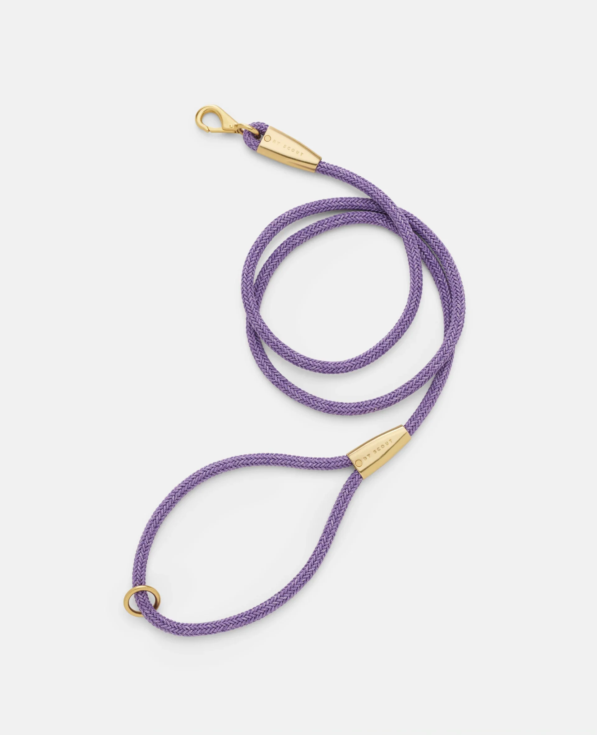 laisse collier by scout design chien et chat laisse collier by scout design chien et chat