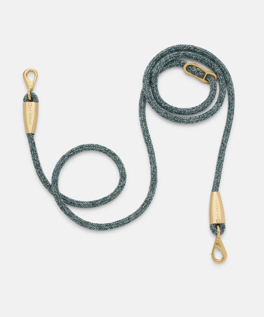 laisse collier by scout design chien et chat